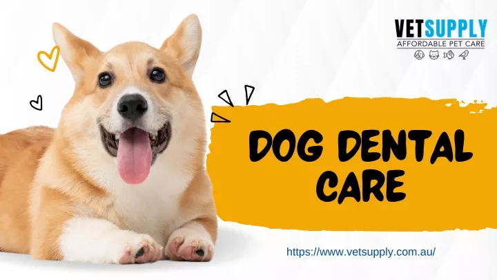 dog dental care https www vetsupply com au