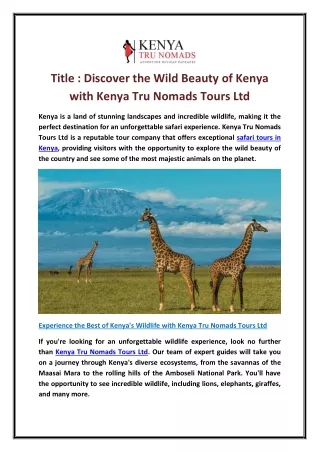 Discover the Wild Beauty of Kenya with Kenya Tru Nomads Tours Ltd