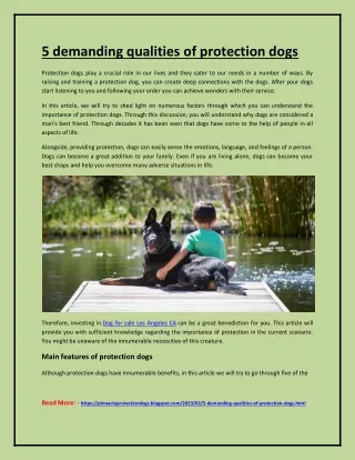 5 demanding qualities of protection dogs