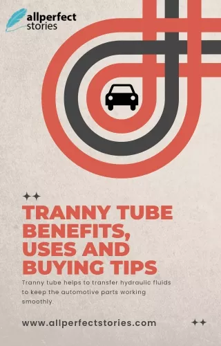 A Guide To Buying A Tranny Tube: Its Benefits, Uses, And Tips