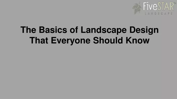 the basics of landscape design that everyone