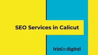 seo services in calicut