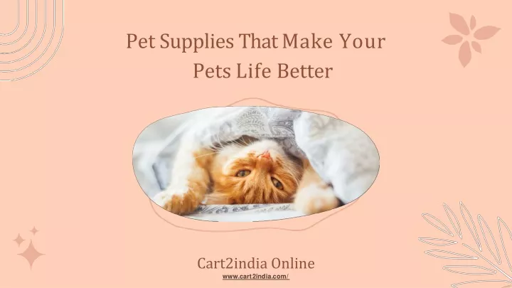 pet supplies that make your pets life better