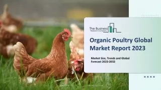 organic poultry global market report 2023