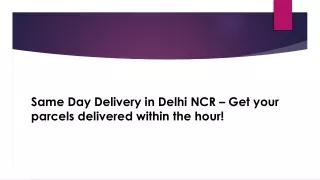 Same Day Delivery in Delhi NCR – Get your parcels delivered within the hour!