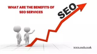 WHAT ARE THE BENEFITS OF SEO SERVICES