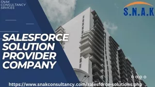 snak consultancy srvices