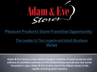 Erotic Store Franchise Opportunity