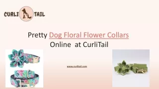 Curlitail Dog Floral Flower Collar Pdf