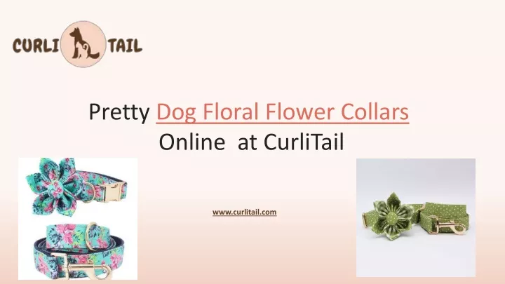 pretty dog floral flower collars online