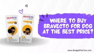 Bravecto at Best Price Online