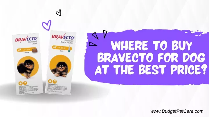 where to buy bravecto for dog at the best price