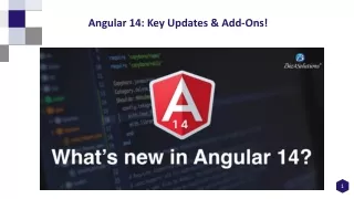 Angularjs Development Company USA
