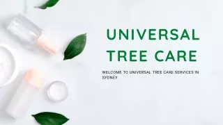 Tree Cutting services in Hunters Hill from Universal Tree Caree