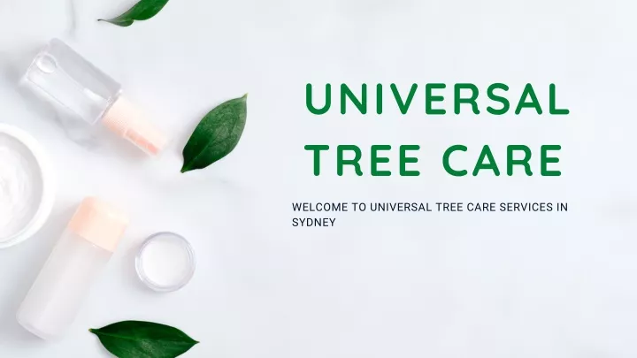 universal tree care