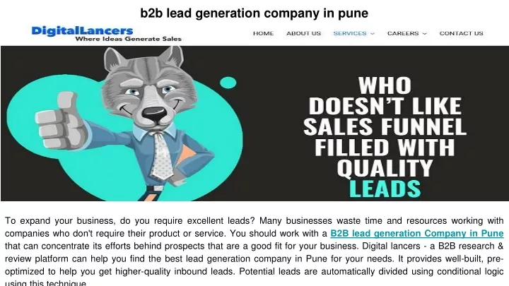 b2b lead generation company in pune