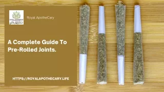 A Complete Guide To Pre-Rolled Joints