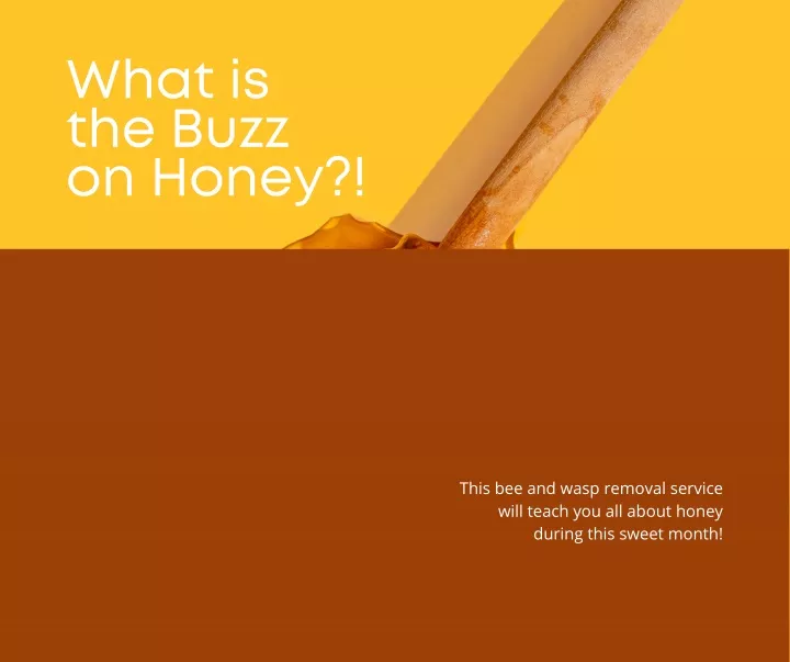 what is the buzz on honey
