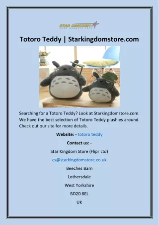 Totoro Teddy  Starkingdomstore