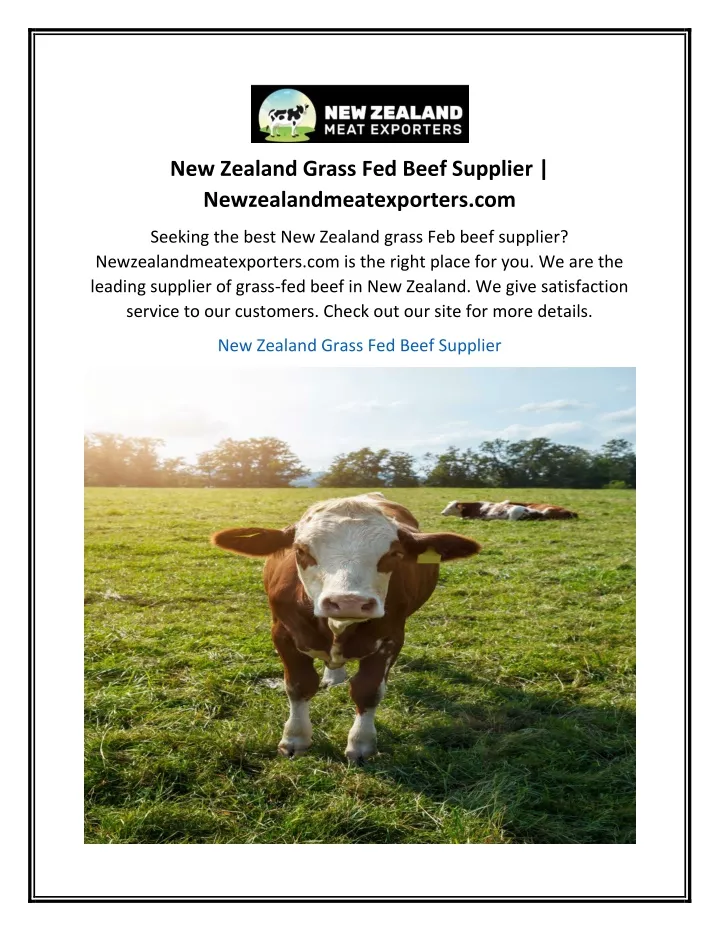 new zealand grass fed beef supplier