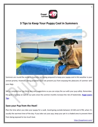 3 Tips to Keep Your Puppy Cool in Summers