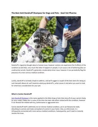 best anti dandruff shampoo for dogs Goel Vet Pharma