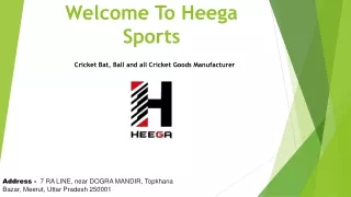 Heega Sports - Cricket Goods Manufacturer in Meerut