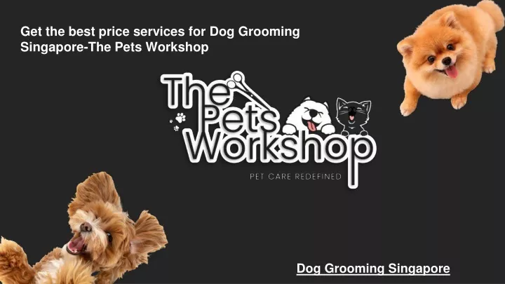get the best price services for dog grooming singapore the pets workshop