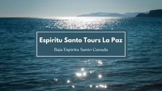 Why choose our Private boat trips to Espiritu Santo Island Tour