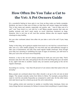 How Often Do You Take a Cat to the Vet: A Pet Owners Guide
