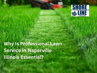 Why Is Professional Lawn Service in Naperville Illinois