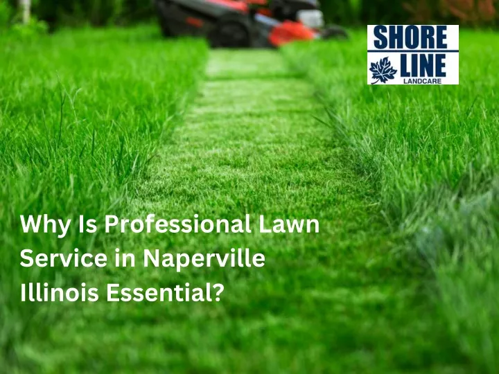 why is professional lawn service in naperville