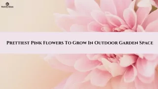 Elegant Chinese Landscaping Tips For Garden Makeover