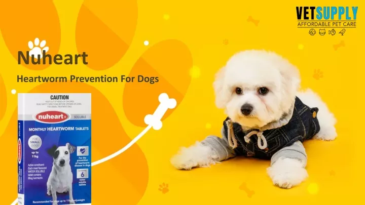 heartworm prevention for dogs