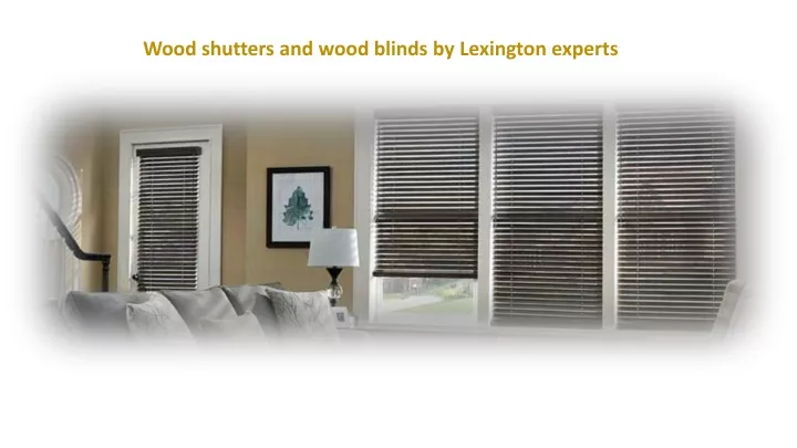 wood shutters and wood blinds by lexington experts