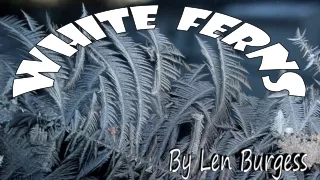 white ferns