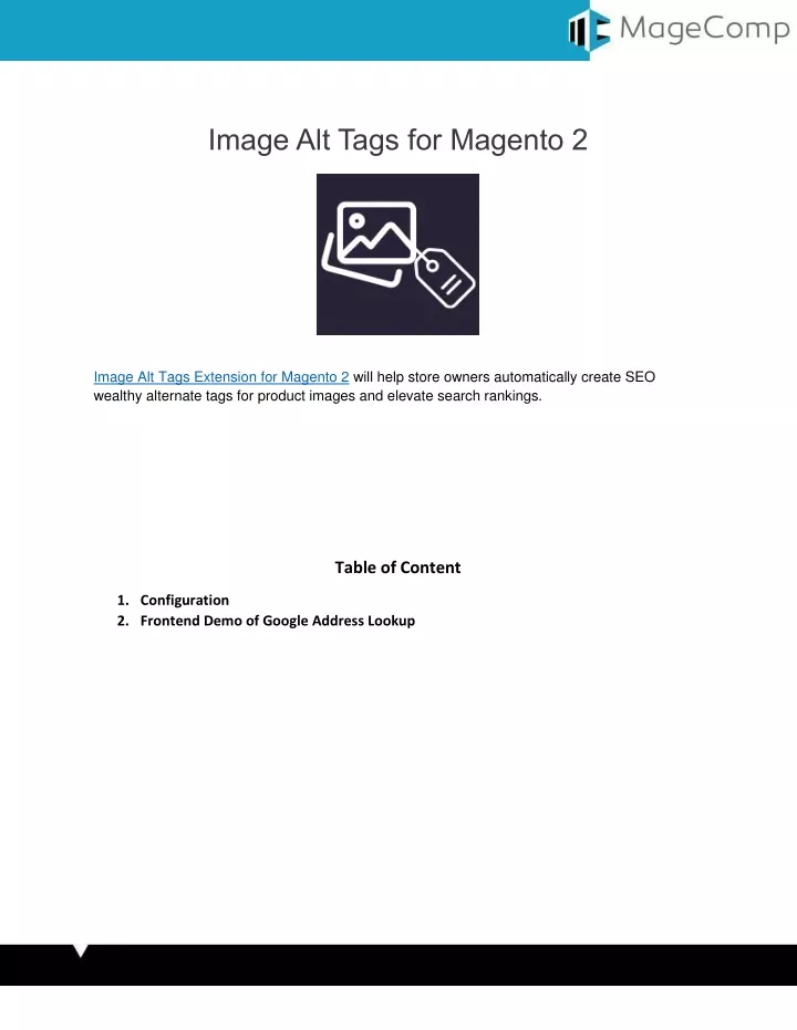 image alt tags for magento 2