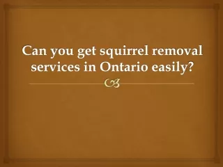 Can you get squirrel removal services in Ontario easily?