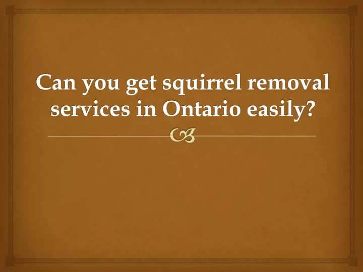 can you get squirrel removal services in ontario easily