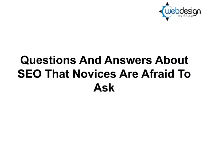 questions and answers about seo that novices