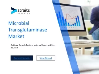 microbial transglutaminase market
