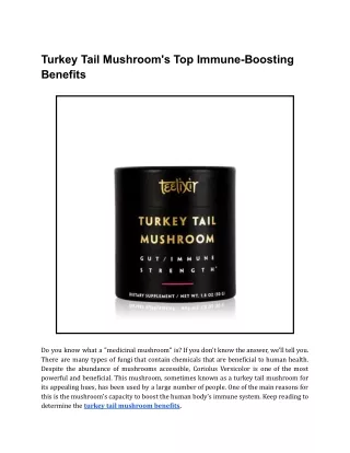 Turkey Tail Mushroom's Top Immune-Boosting Benefits