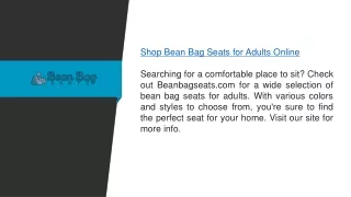 Shop Bean Bag Seats For Adults Online  Beanbagseats.com