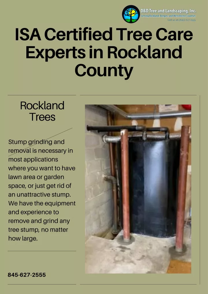 isa certified tree care experts in rockland county