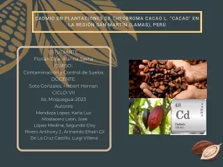 Cadmio en plantaciones de Theobroma cacao en San Martin