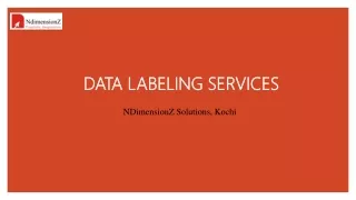 DATA LABELING SERVICES