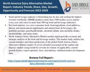 North America Dairy Alternative Market