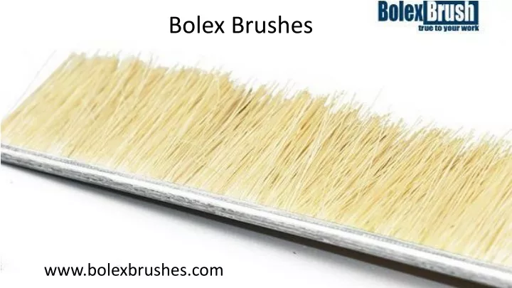 bolex brushes