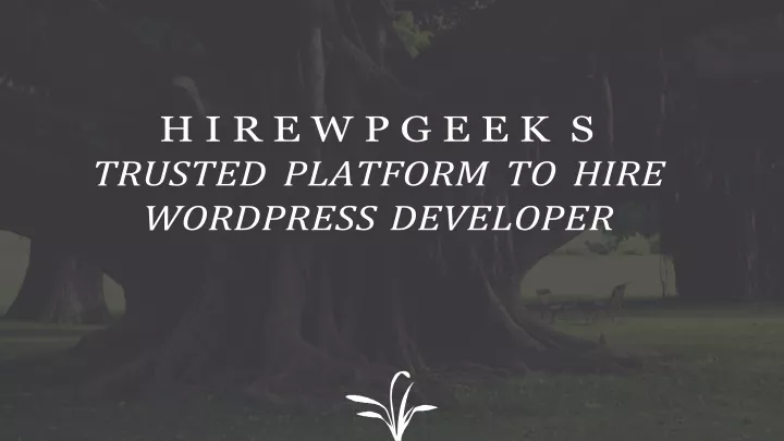 h i r e w p g e e k s trusted platform to hire