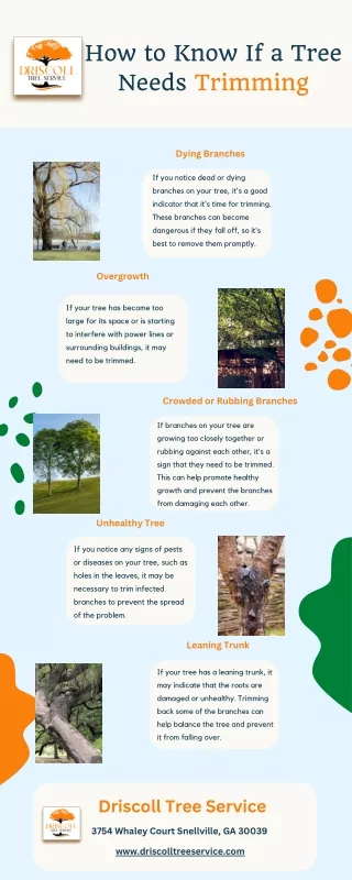 how to know if a tree needs trimming